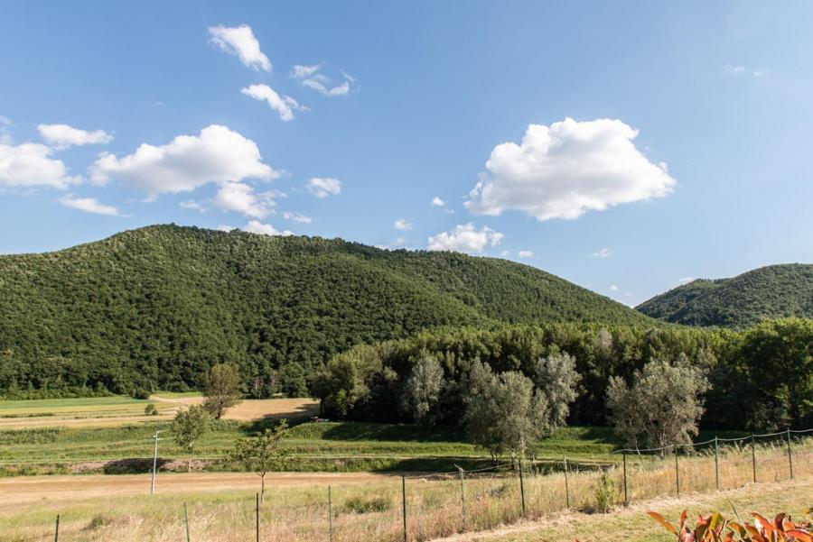 Il Colombaio Agriturismo モンテガッビオーネ エクステリア 写真