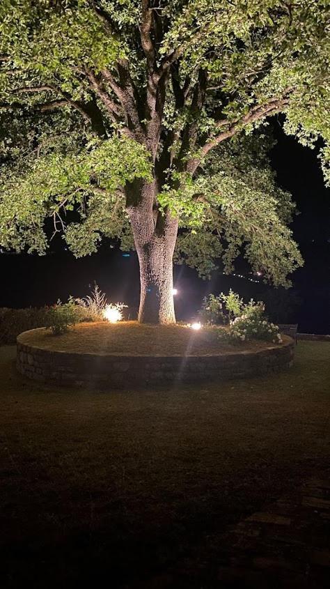 Il Colombaio Agriturismo モンテガッビオーネ エクステリア 写真