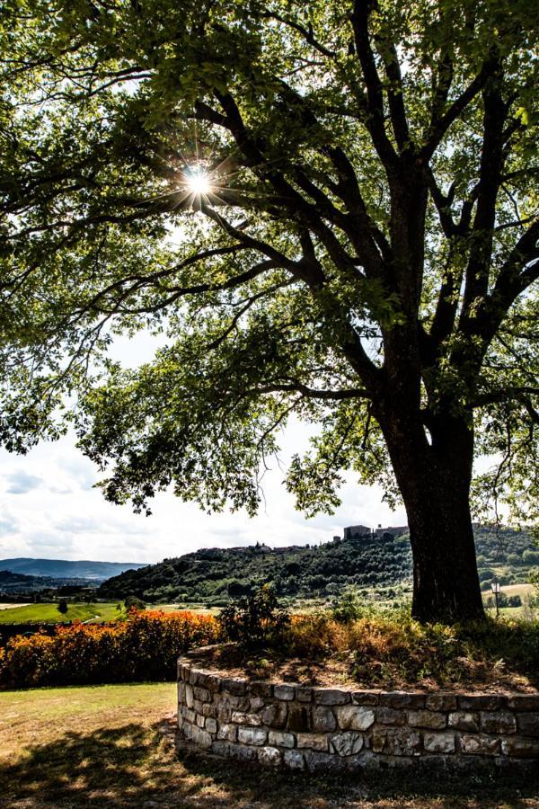 Il Colombaio Agriturismo モンテガッビオーネ エクステリア 写真